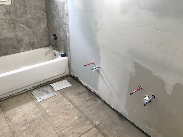 Hall Bathroom Renovation