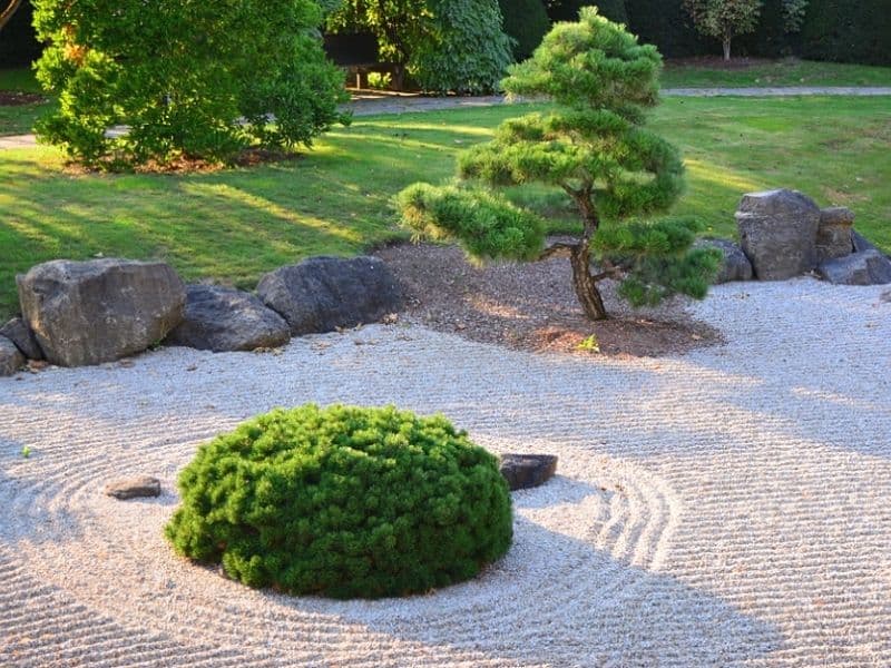 Rock Zen Garden